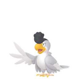 イキリンコ(ホワイトフェザー)